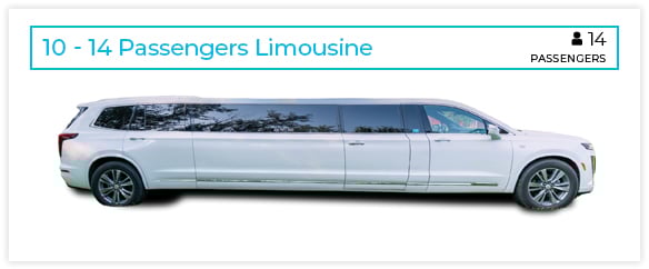 AMPM 14 Passenger Limousine